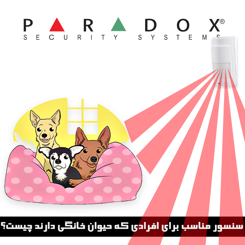 motion detector Pet Immunity